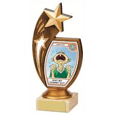 National Design Champion