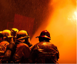 Practical Training and Real-Life Exposure